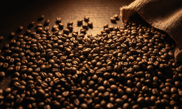 巴拿馬咖啡的終極真相：為何你只認識瑰夏，卻錯過了整個寶藏山脈？