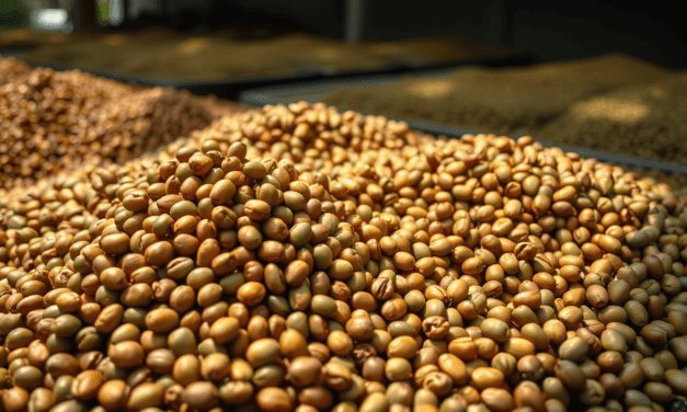 拆解曼特寧的風味迷思：為何你喝的「濕刨味」可能只是美麗的錯誤？