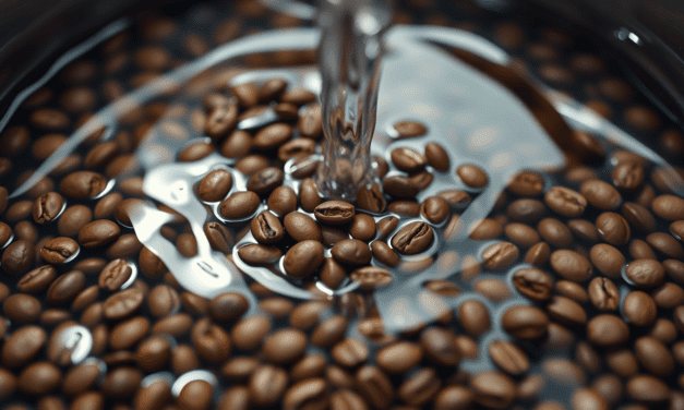 水洗處理法的再思考：為何你喝到的「乾淨」，其實是無數失誤下的倖存者？