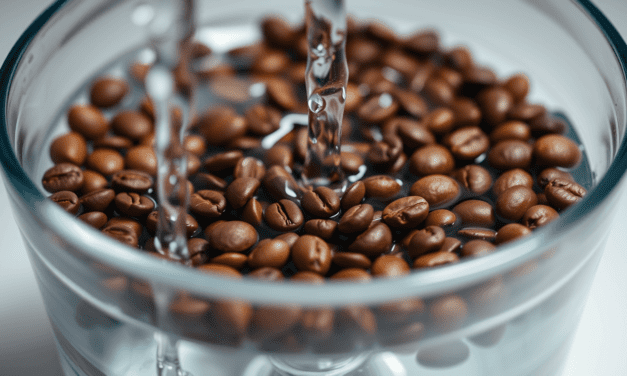 水洗處理法的終極真相：為何你喝到的「乾淨」風味，其實是高昂環境成本與失敗風險下的倖存者？