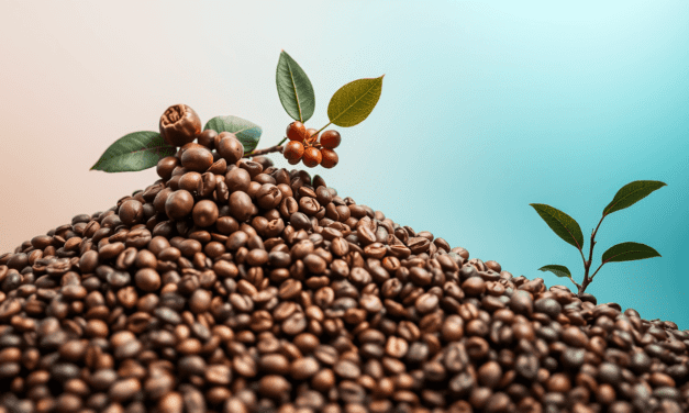 海拔只是個數字遊戲？揭秘阿拉比卡咖啡風味的真正密碼：溫度梯度