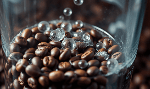 破解厭氧咖啡的酒香密碼：為何你不該只滿足於「酒香」這個詞？