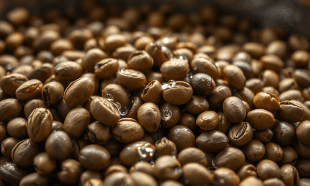 破解蘇門答臘濕刨法的風味密碼：為何它既是風土的奇蹟，也是瑕疵的溫床？