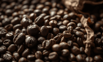 解構托拉查神話：為何你喝的蘇拉威西咖啡，可能不是你想像的那回事？