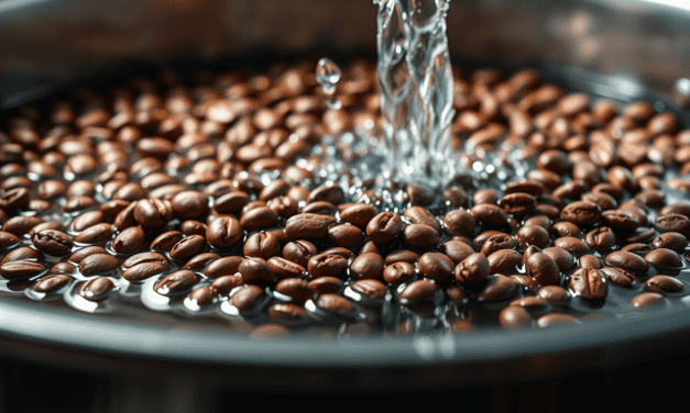 解構水洗處理法：為何「乾淨」是你選購水洗豆時最大的風味陷阱？