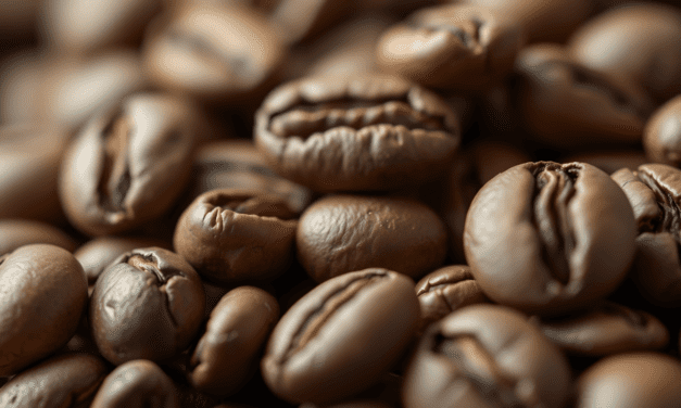 解構水洗豆含水率的終極迷思：為何11%不等於11%，它如何騙過你的味蕾？