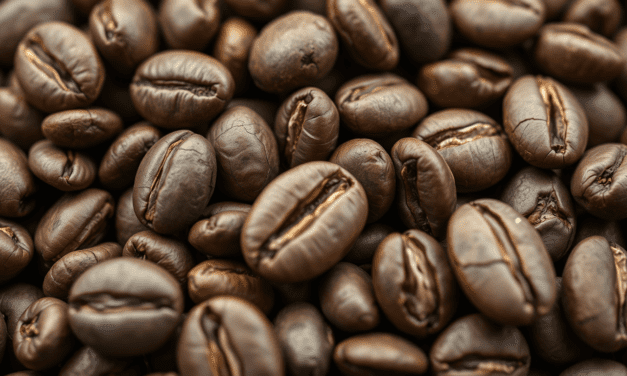 解碼濕刨豆的「醜陋」真相：為何它的外觀是風味的藏寶圖？