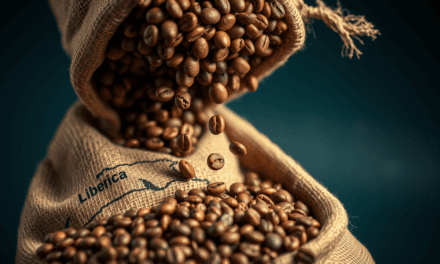 賴比瑞亞咖啡的終極真相：為何它既是明日救星，也是莊園主的噩夢？